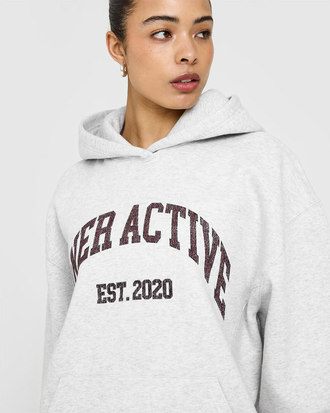 Foundations Oversized Hoodie With Large Printed Graphic | Light Grey Marl